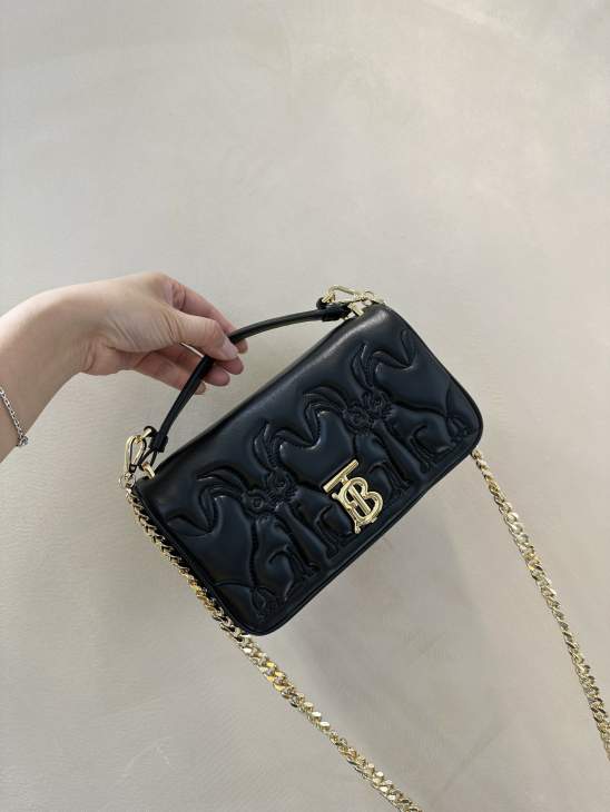 Picture of Burberry Handbags _SKUfw166629800fw